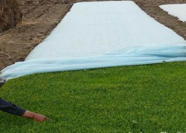 農(nóng)業(yè)、園林綠化