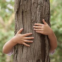 Tree Bands to Protect Bark